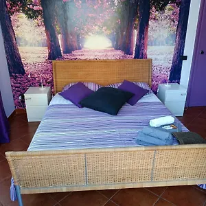 Alojamento de Acomodação e Pequeno-almoço Claudia A Monteverde, Roma